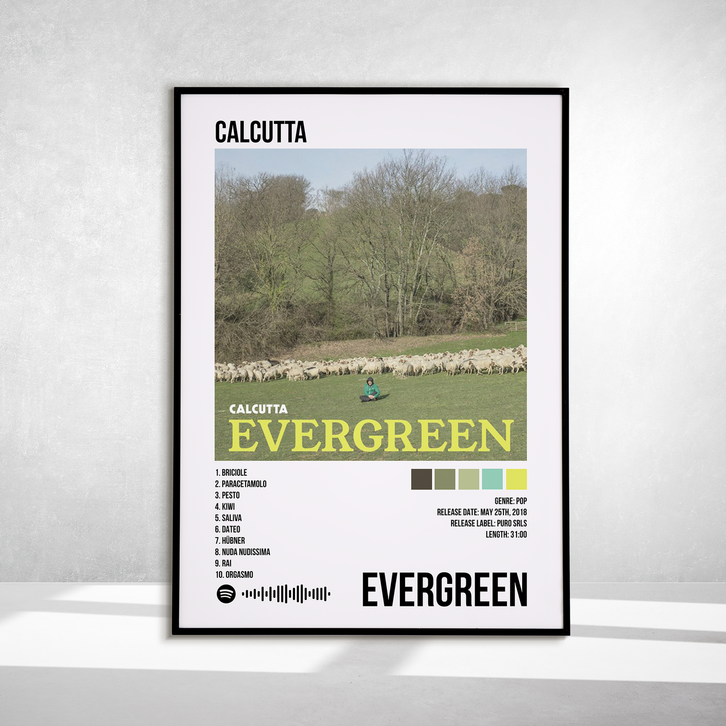 Evergreen