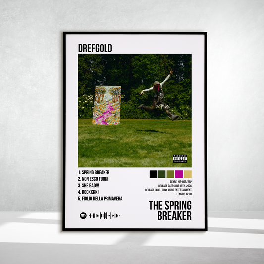 The Spring Breaker