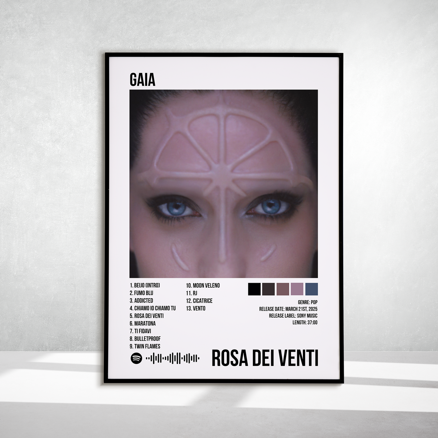 rosa dei venti