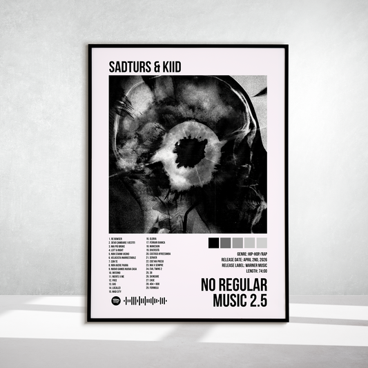 NO REGULAR MUSIC 2.5